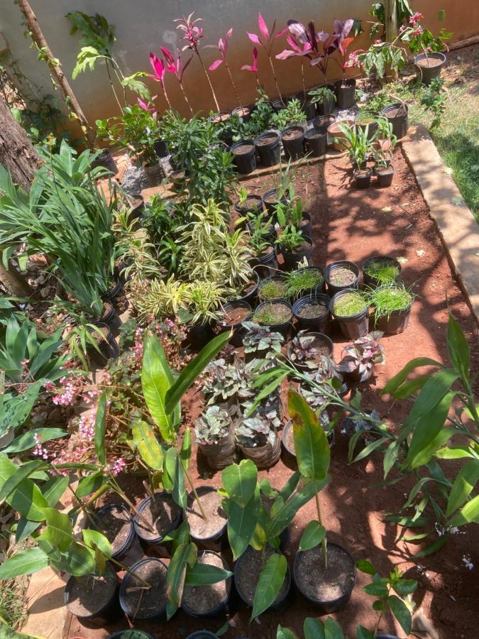 Jardim De Minas Guest house