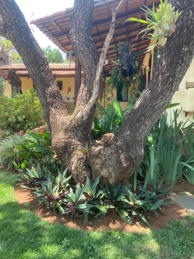 Jardim De Minas Hotel 2*