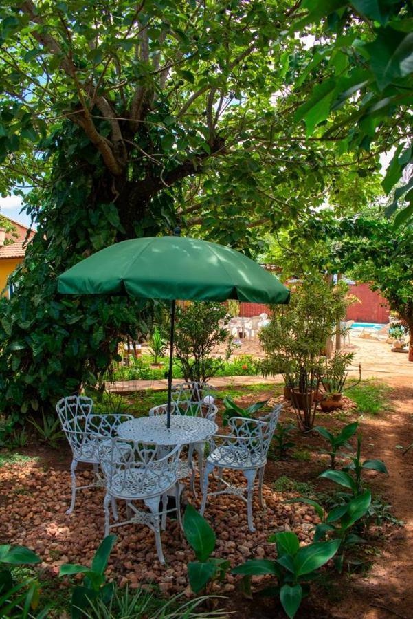 Jardim De Minas